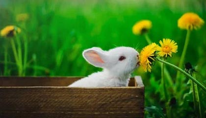 美国飞行员将女子偷运至英国皇家空军基地 被指进行多次强奸