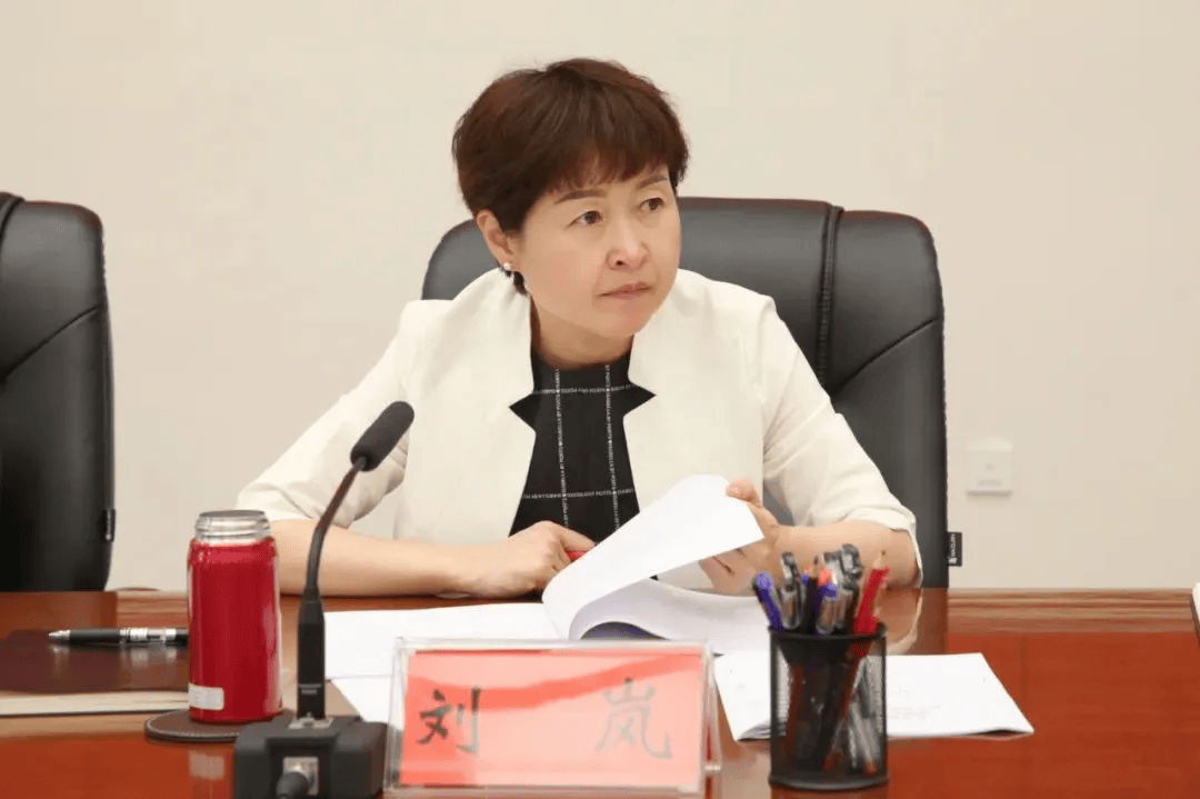贵州省委批准：开除刘岚党籍