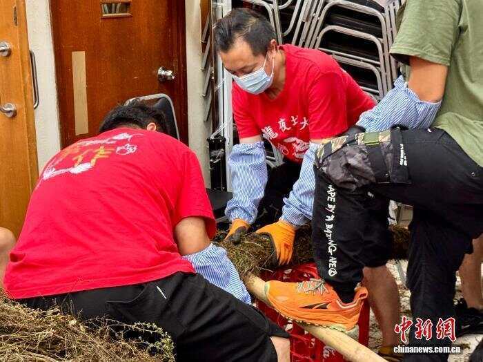 （寻味中华丨非遗）香港“大坑舞火龙”：“舞起来，就有无穷力量”