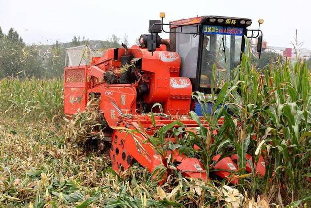 应对持续阴雨天气，山东积极行动保障“三秋”生产