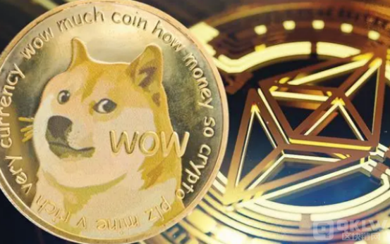 狗狗币和莱特币(狗狗币和莱特币哪个好)