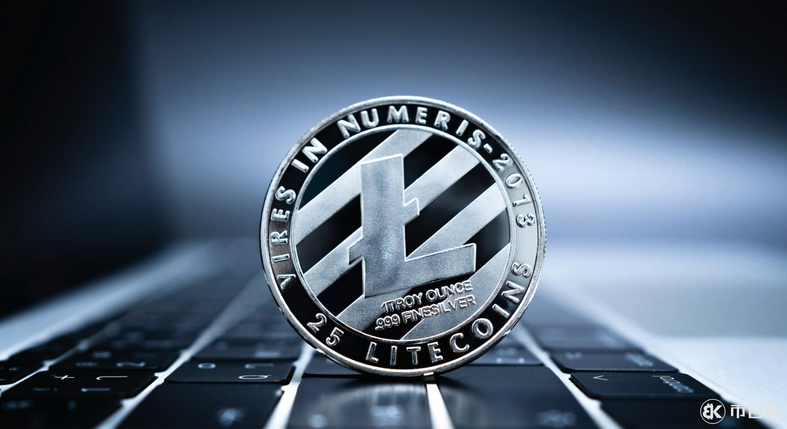 莱特币1000(莱特币2026能涨到多少呢)