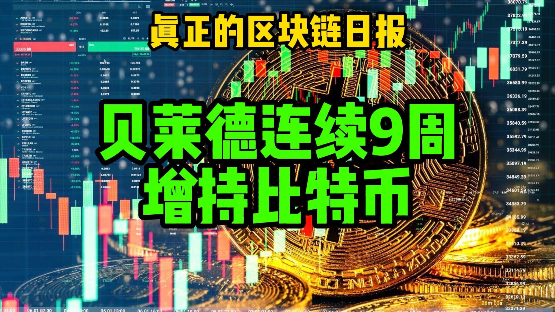 莱特币是合法的吗(莱特币真的能赚钱吗)